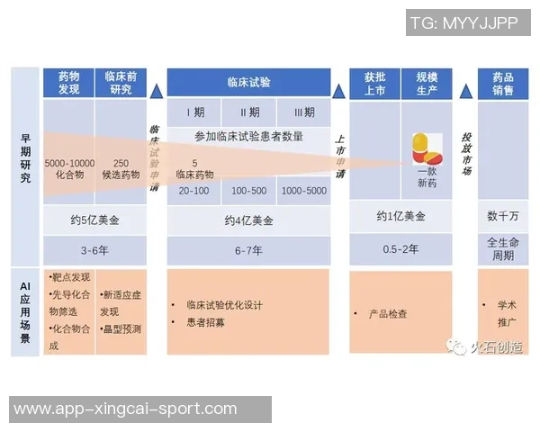 足球进口市场分析与发展趋势探讨及其对国内产业的影响